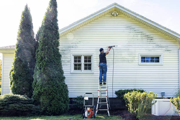 Best Gutter Cleaning  in East Riverdale, MD